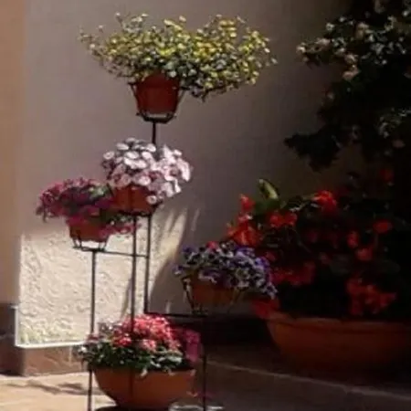 Goscinne U Andrzeja *