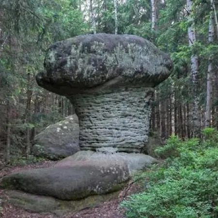 Gościnne U Andrzeja Radkow