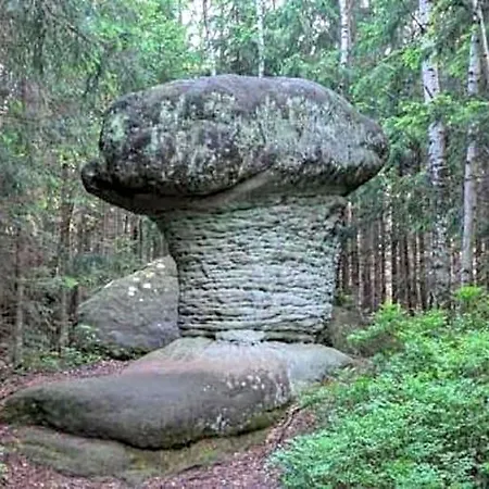 Goscinne U Andrzeja Radkow