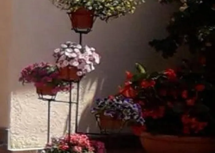 Gościnne U Andrzeja *