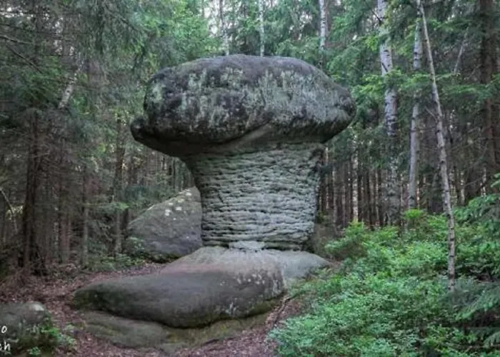 Goscinne U Andrzeja Radkow