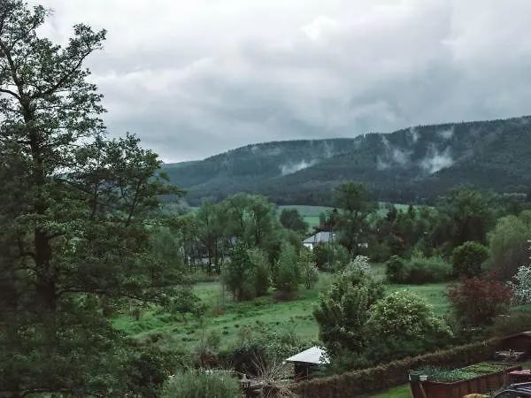 Gościnne U Andrzeja * Radkow